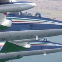編隊飛行するフレッチェ・トリコローリ（Image：イタリア空軍）