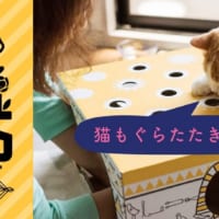 保護猫支援イベント「ねこもぐらたたき大会」開催