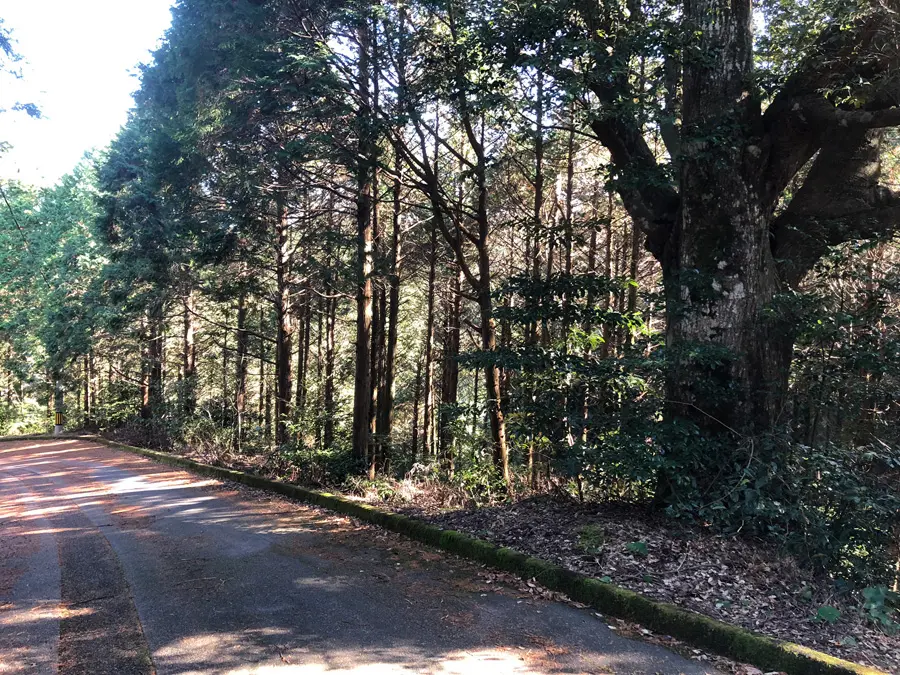 「巨頭オ」の看板がみつかった？噂の現場に行ってみた＜後編＞