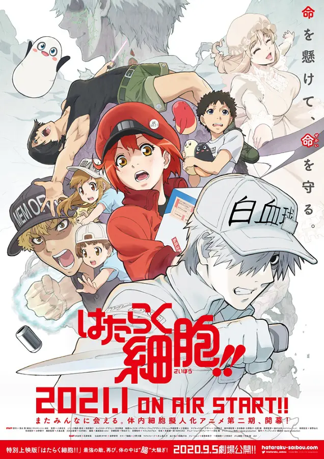 「はたらく細胞」1期がMXなど8局で再放送　ABEMAで特別番組の配信も決定