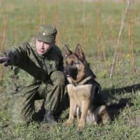 警備犬とハンドラー（Image：ロシア国防省）