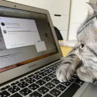 さて、今日は何のツイートしますかニャっと