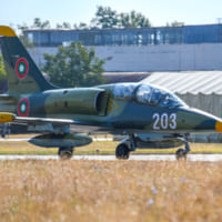 ブルガリア空軍L-39（Image：USAF）
