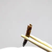 スーパーワーム拡大2