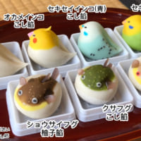 現在はオカメインコを含め3種類のどうぶつ和菓子を展開。