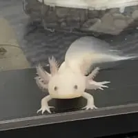 ウパ丸くん