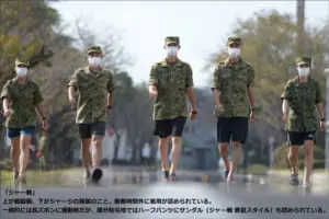 夏 2A 夏2A 陸 迷彩服 転ばす ：陸上自衛隊 - 個人装備