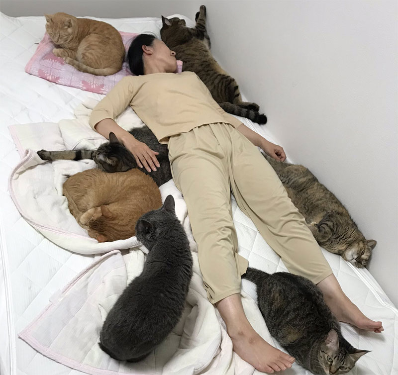 愛猫と寝るためにセミダブルベッドを購入　そこに待っていたのは……？