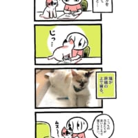 猫は健康に良い・４コマ１枚目