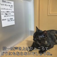 何とも言えない表情をしている、うにくん