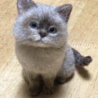 愛らしいシャム猫の子猫……と思いきやこれ、本物そっくりに作った羊毛フェルト。