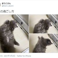 3枚の写真とともに投稿された「正月の過ごし方」ツイートが話題に。