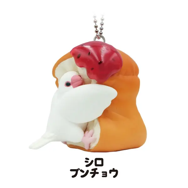 「シロブンチョウ」
