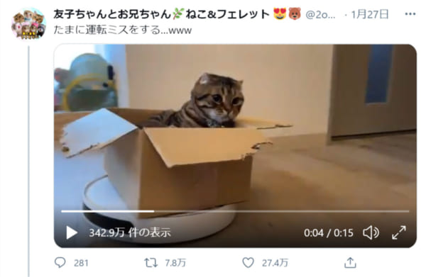 画像提供：友子ちゃんとお兄ちゃん・ねこ＆フェレット（@2oniTomo）さん