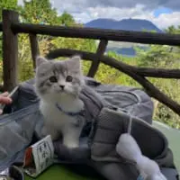飼い主さんが過ごす東京と静岡の様々な地でのりつくん。