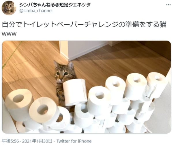 トイレットペーパーチャレンジ準備中？決定的瞬間が激写された模様。
