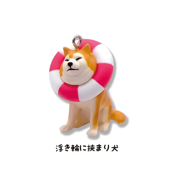 「浮き輪に挟まり犬」