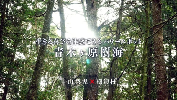 映画「樹海村」と山梨県のコラボ動画が完成