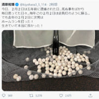 画像は清原和博さんのTwitterのスクリーンショットです