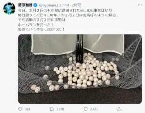画像は清原和博さんのTwitterのスクリーンショットです