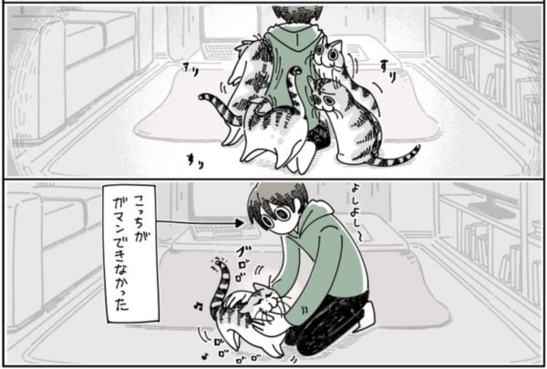 猫飼いあるある　飼い猫の構ってちゃんについ……　キュルZ（@kyuryuZ）さん提供