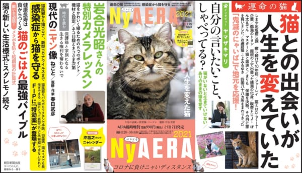 今回で第6弾！AERAが猫化した「NyAERA（ニャエラ）」発売