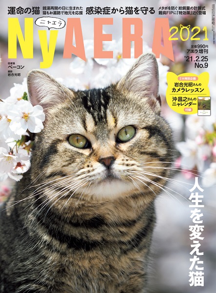 AERAが一冊まるごと猫化する臨時増刊「NyAERA（ニャエラ）」