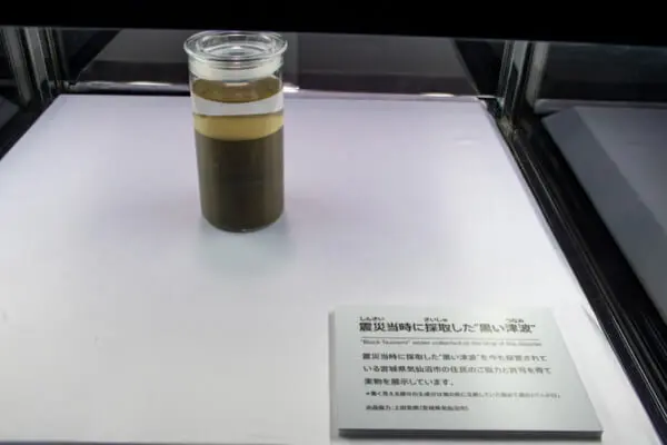 「黒い津波」標本