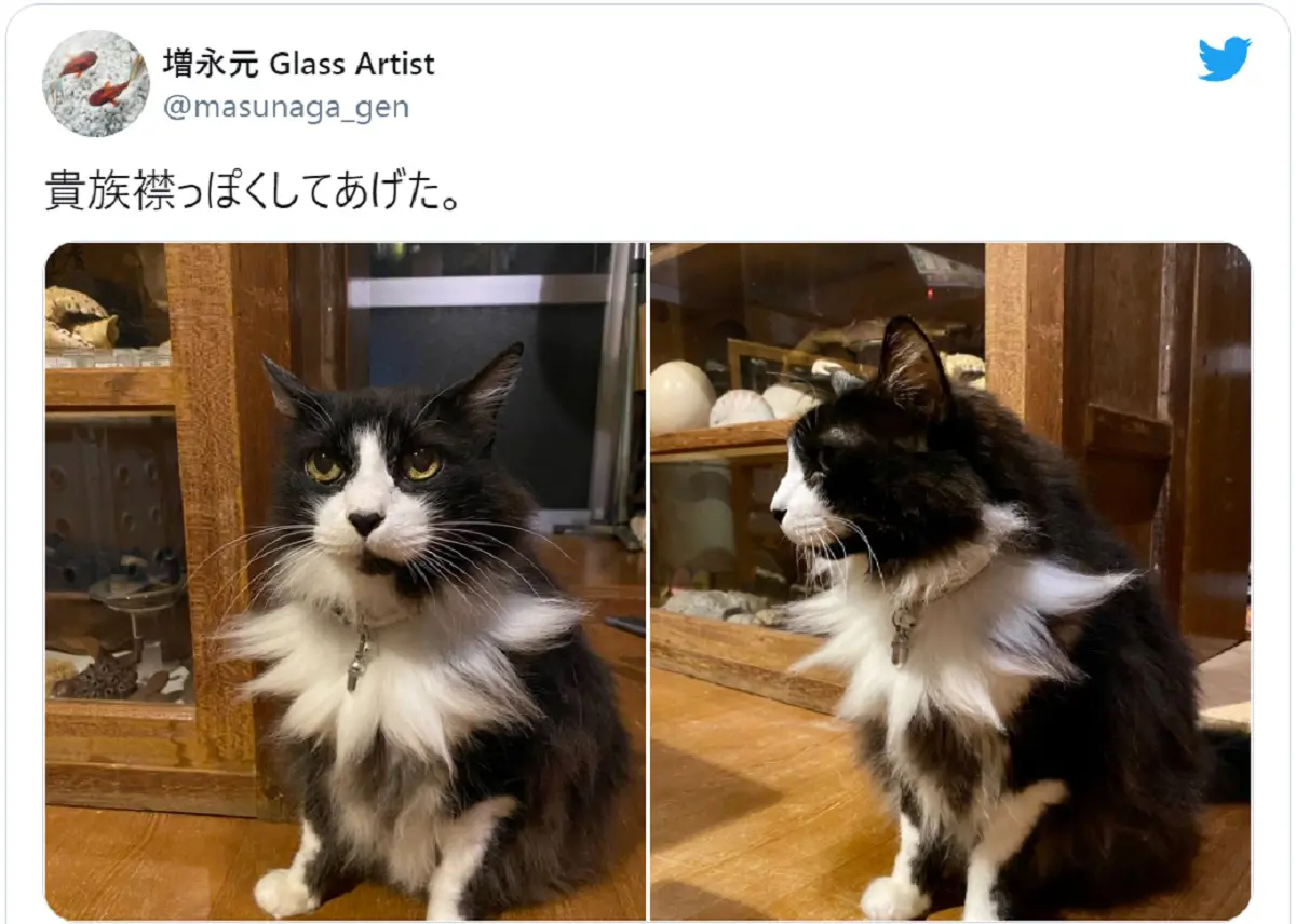 おじいちゃん猫を貴族風にした結果　「気高い」「高貴」と絶賛