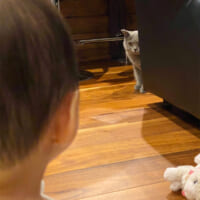 「未知との遭遇」で互いに固まった赤ちゃんと猫のテン子さん（Allelujahさん提供）