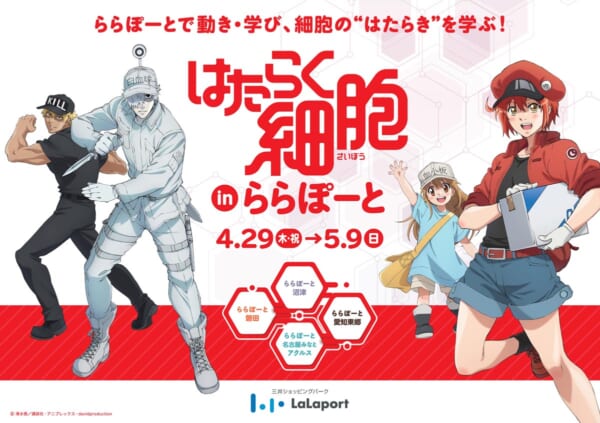 愛知県、静岡県のららぽーと4施設で「はたらく細胞 in ららぽーと」開催