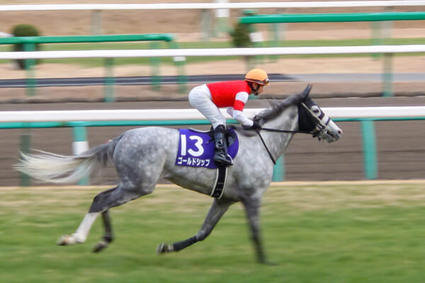 「ウマ娘 プリティーダービー」でも人気のゴールドシップ（2013年有馬記念勝利時）