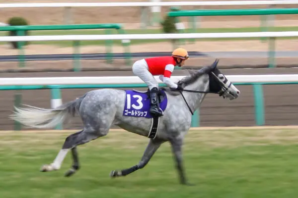 「ウマ娘 プリティーダービー」でも人気のゴールドシップ（2013年有馬記念勝利時）