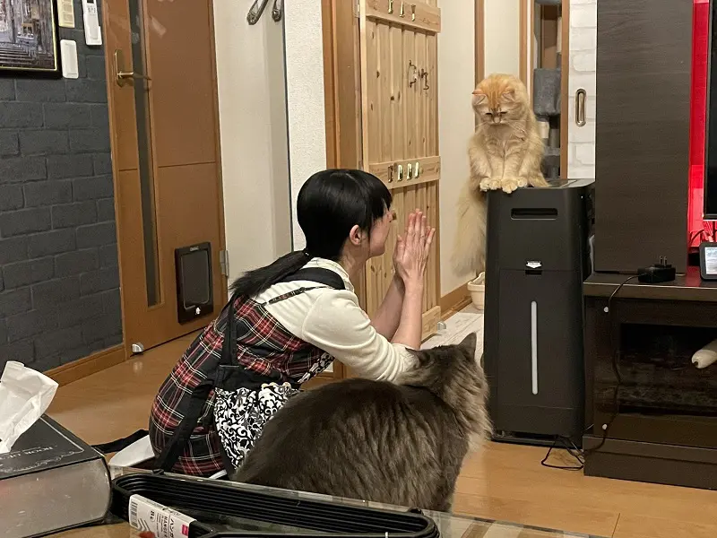 ガックリとうなだれているエマちゃん