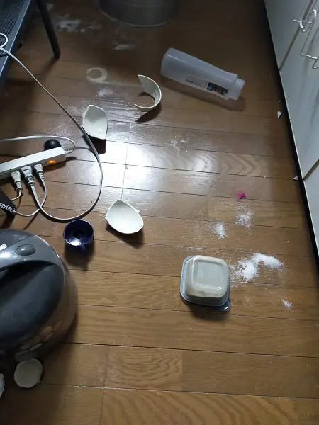 割れたお皿や容器