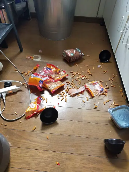 柿ピーが盛大に散乱