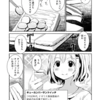 「ヤマノススメ」コミックス第20巻（本編1）
