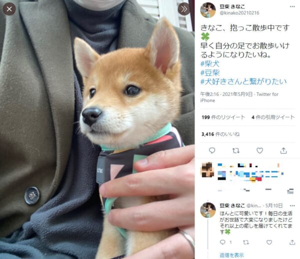 愛犬と抱っこ散歩している最中の投稿がTwitterで話題。