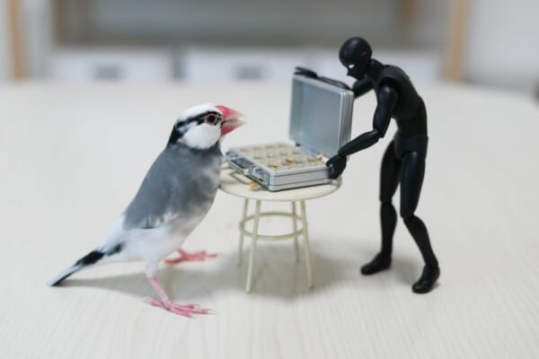 闇トリ引中の愛鳥の姿を激写。Twitterで話題に。