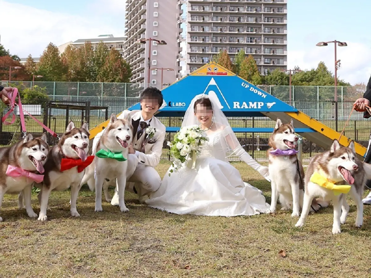 主役がどっちか分からない？ハスキー一家が花を添えた結婚写真がワンダフル