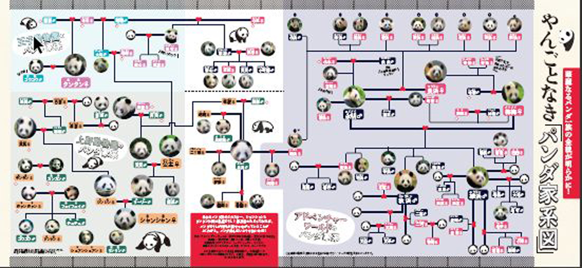 華麗なる一族のやんごとなきパンダ家系図