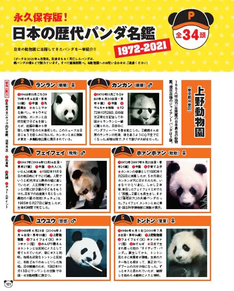 女性自身のパンダ版「パンダ自身 2頭め」発売 「呪術廻戦
