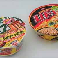 「日清の汁なしどん兵衛 濃い濃い濃厚ソース焼うどん」と「日清焼そばU.F.O. だし醤油きつね焼そば」