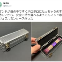 お菓子をあらゆる衝撃から防護！ルマンド専用ケースに大きな反響