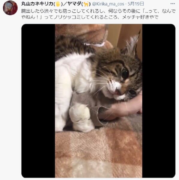 「ニャんでやねん！」変わった特技を持つ猫がなんとノリツッコミまで！