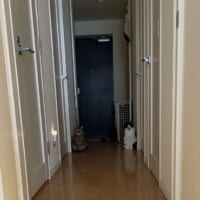 玄関先に写る2つの影（猫）の写した姿がTwitterで話題。