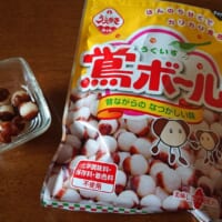 関西では知名度抜群の大正義お菓子　植垣米菓「鴬ボール」知ってる？