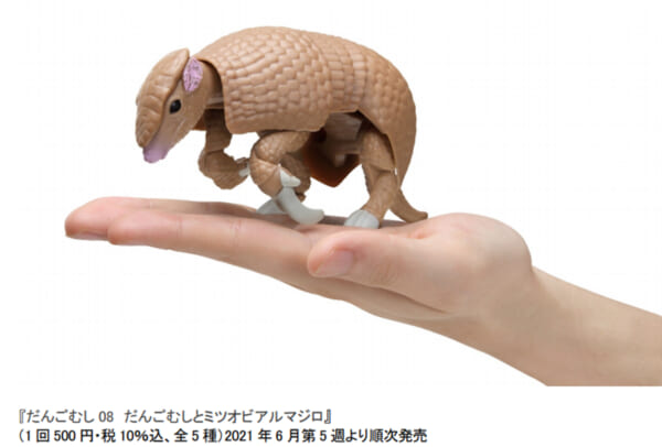 だんごむし 08 だんごむしとミツオビアルマジロ