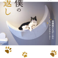 猫マスター響介さんの猫ファーストな家づくり本「下僕の恩返し」