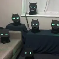 まるで生きているみたい　こっちを見てくる黒猫ライトがコワかわいい